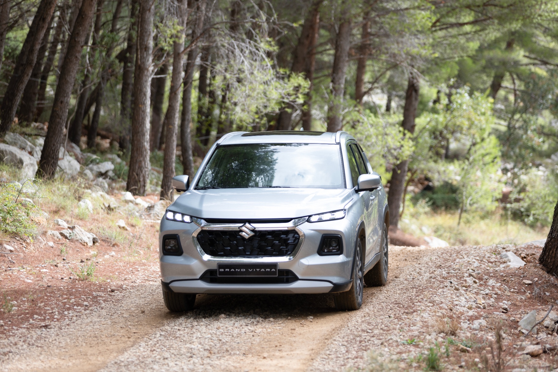 Suzuki Grand Vitara — في الغابة